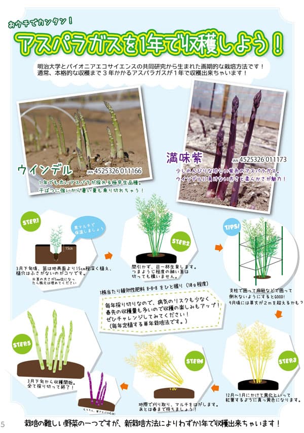 ��ڤ���/[����̵��][26ǯ3���沼��ͽ��]�����ѥ饬����������ǥ�3��ݥå� 24�����å�