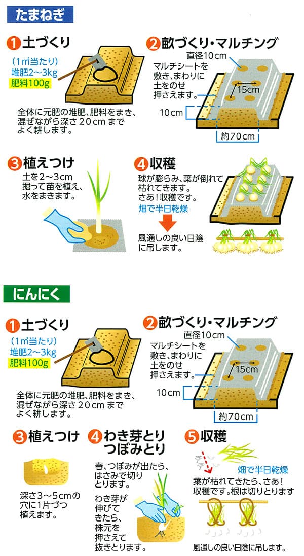 ながもち一発肥料 たまねぎにんにく用 500g入り