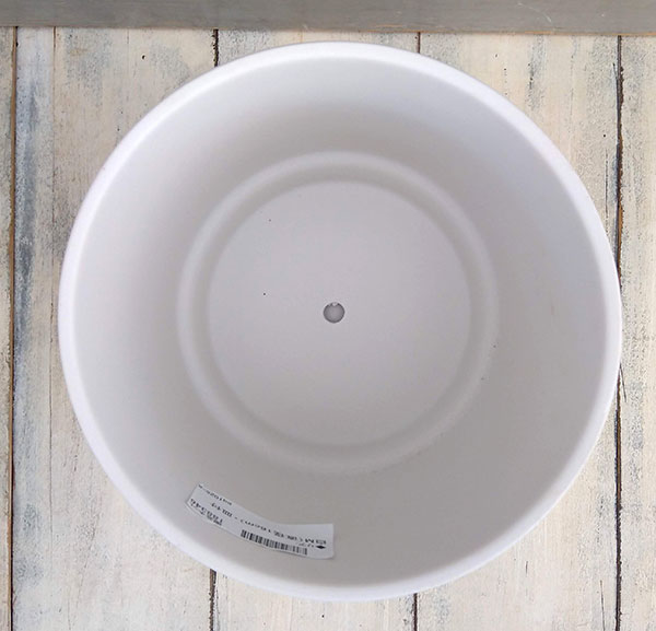 �ꥢ����M��ľ��16cm�ˡ�����