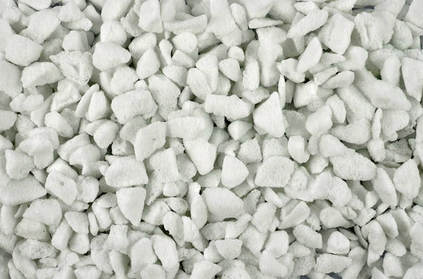 ���줤��ȭ����10��åȥ�����