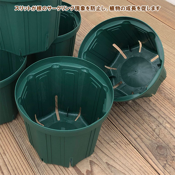 とんでもないポット：6号CSM-180（モスグリーン）50個セット