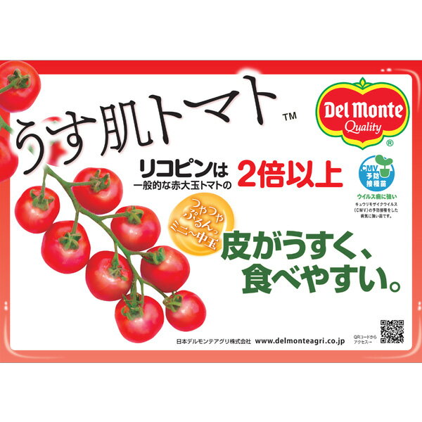 ��ڤ���/[26ǯ4���ͽ��]�ȥޥȡʥߥ�-��̡ˡ�����ȩ(R)������3��ݥå�