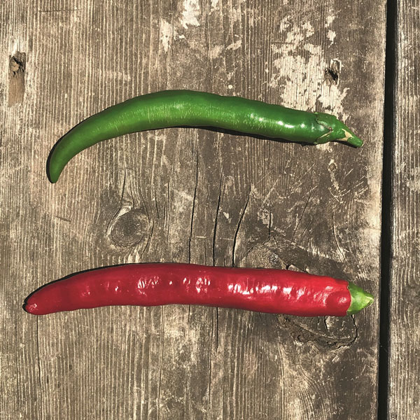 ��ڤ���/[26ǯ4���ͽ��]�������������Ȥ�3��ݥå�