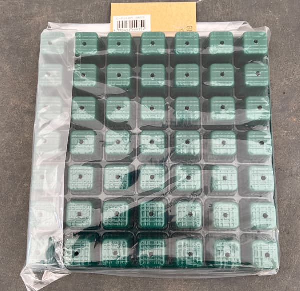 ����ͥ���ӡ��ݥå�49��5������