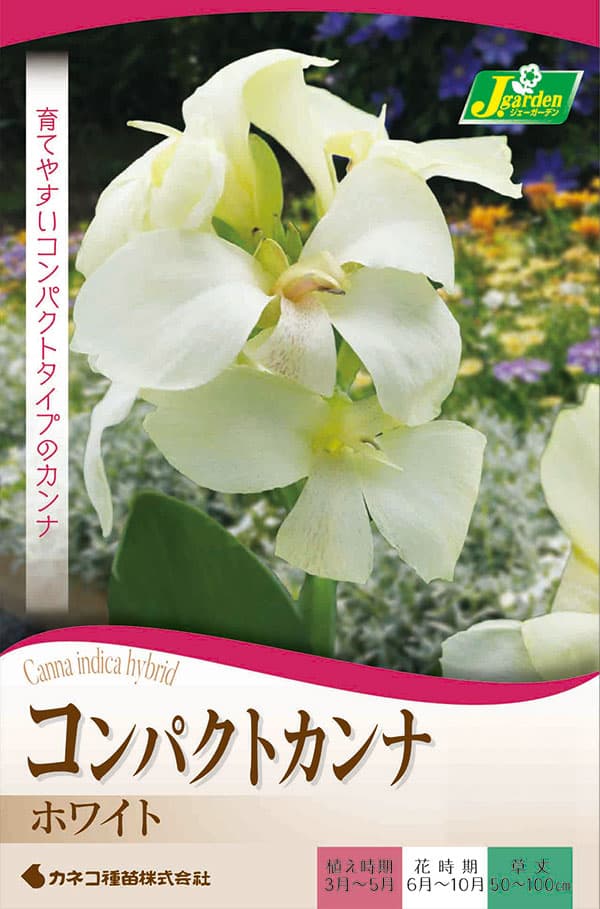 �庬/[26ǯ4����ͽ��]����ʡ��ۥ磻�ȡ���֡�1������