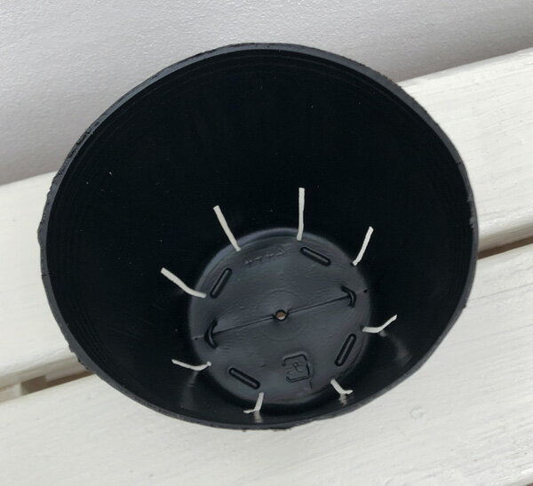 ����å������ĥݥå�10.5�����20������