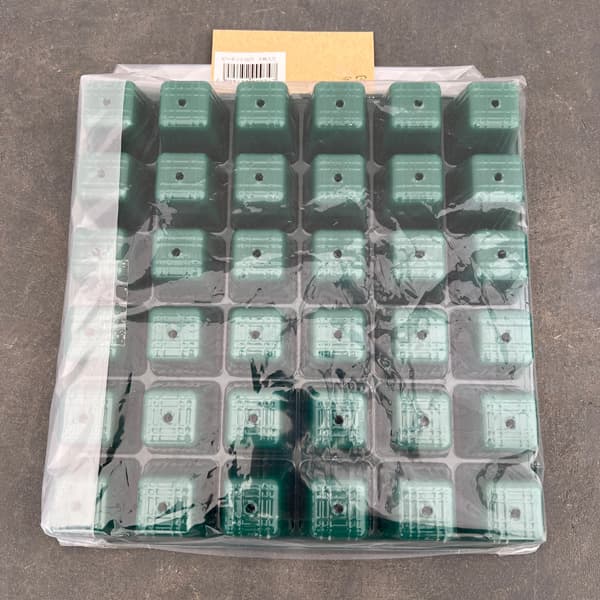 ����ͥ���ӡ��ݥå�36��5������