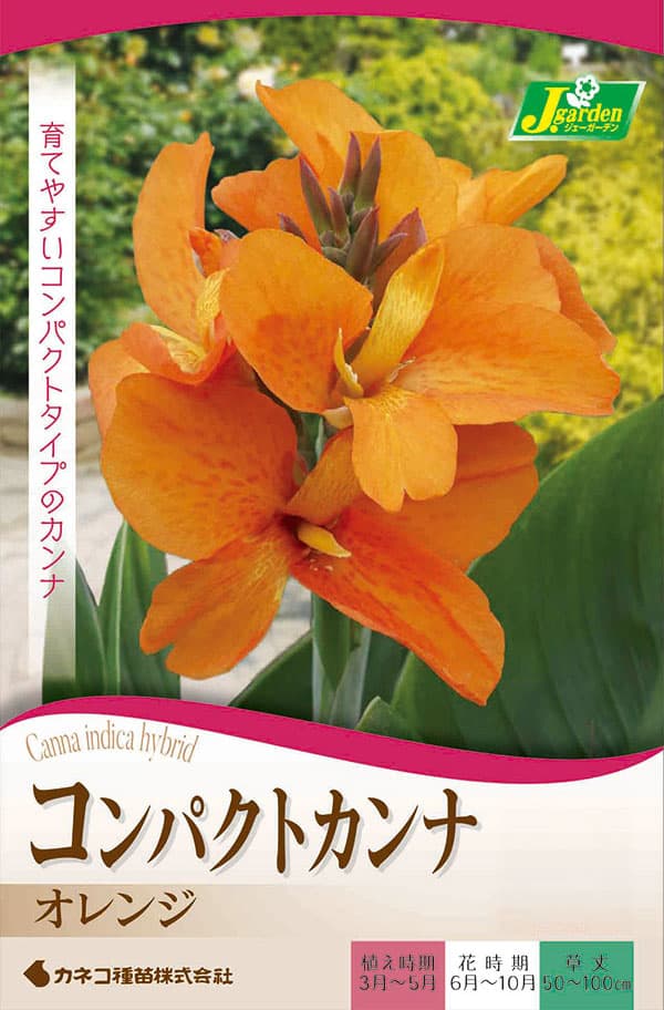 �庬/[26ǯ4����ͽ��]����ʡ�����󥸡����֡�1������