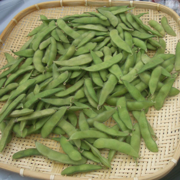 ��ڤ���/[26ǯ4���ͽ��]�����ޥᡧ�򤢤���̼(R)3.5��ݥå�