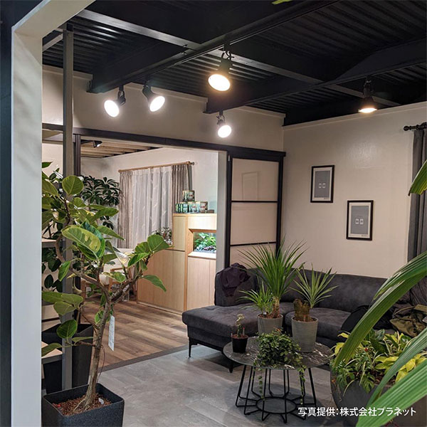 LEDプラントライト：レデコ LPL15WP3K 植物育成用LED パータイプ