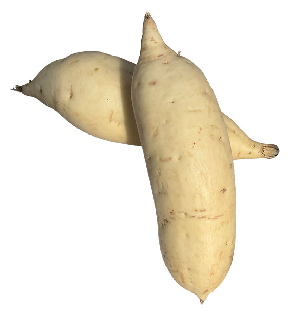 ��ڤ���/[26ǯ4���ͽ��]���ĥޥ��⡧�����ۤ���4Ϣ���åȥѥå�