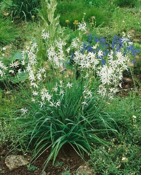 [26ǯ3���沼��ͽ��]���ޥ������饤�ҥȥ�ˡ� �����4.5��ݥå�