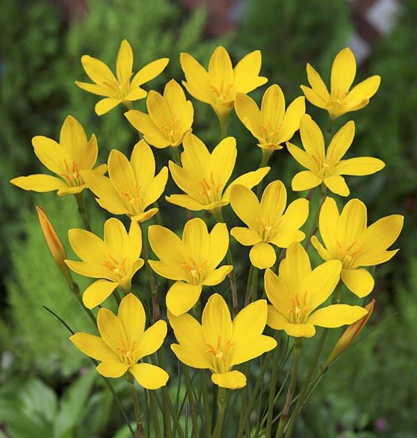 �庬/[26ǯ4����ͽ��]���ե���󥵥������ȥ��10������