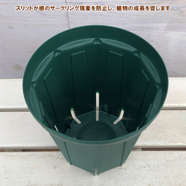 スリット鉢6号ロングタイプCSM-180L（モスグリーン）5個セット