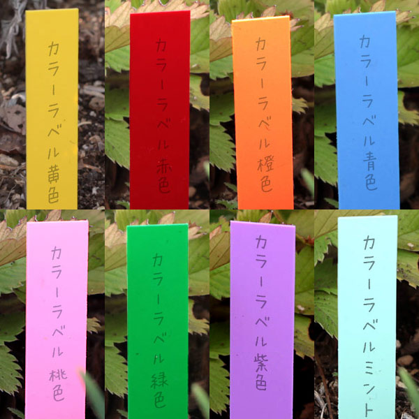 ゴールドカラーラベル 1.2cm×9cm 100枚入り8色セット