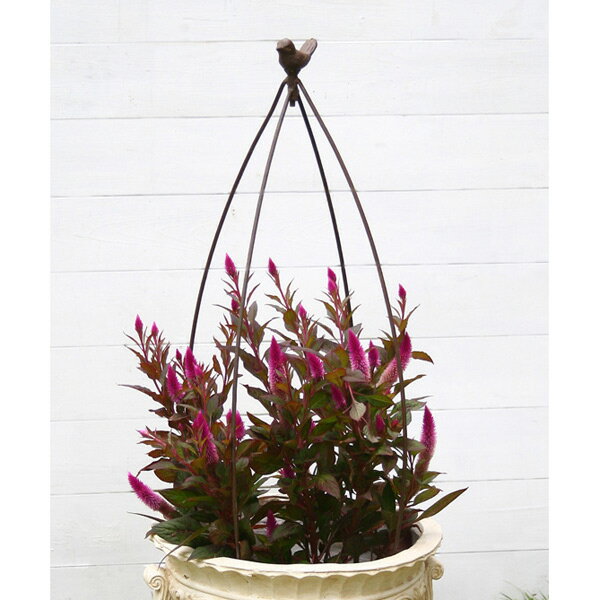 バードケージ型トピアリー：オーバルS／ABT01-B02S（幅30cm、高さ70cm）