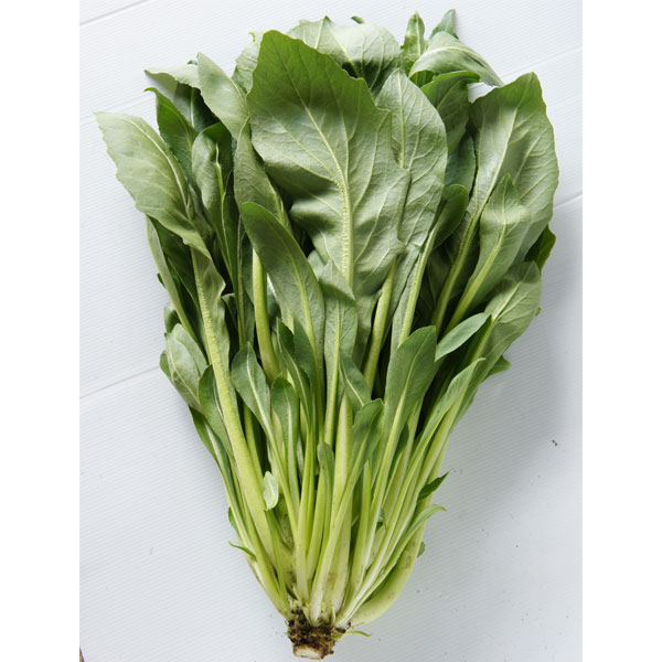 新野菜 香味菜（こみな）・チンゲンサイとワイルドルッコラの交配種 長く収穫できる野菜の苗/[26年10月中下旬予約]チンゲンルッコラ(R)苗3号ポットチンゲンサイが母親、ワイルドルッコラが父親のまったく新しい野菜です。温度を維持できれば、周年栽培が可能です。花は、つぼみ菜（なばな）としても楽しむことができます。マイルドな味わいですが、ルッコラ特有の風味も感じることができます。香りが魅力の新野菜の特徴・寒さに強いので栽培が簡単（宇都宮でマイナス7度でも超冬）・生育旺盛でたくさん収穫（葉を摘み取り収穫してもどんどん生えてくる）・栄養豊富（通常のチンゲンサイに比べ。健康増進生物を豊富に含んでいます）・植えっぱなしで毎年収穫できる（蕾も食べることができ。甘みが強く香りも良いお浸しやテンプラに）栽培方法：水はけが良く、日当たりの良い畑に1平方メートルあたり苦土石灰100g、堆肥2kg、化成肥料100gを施し、良く混ぜます。株間は約30cmとします。定植後1ヵ月後から1ヶ月ごとに、1平方メートルあたり30gの化成肥料を追肥してください。収穫：先端から12〜15cmのところで収穫します。　「つぼみ菜としても、楽しめます。」メニュー：チンゲンルッコラ、ケールッコラ、おひたし、天ぷら、炒め物、おにぎりの具、スムージーなど多くの料理に利用できます。写真は成長時（開花時）のイメージですが、お届けの際はまだ苗の状態です。お届け時の苗姿は個体差があります。表示の写真と異なる場合がございます。■10月中旬〜10月下旬頃のお届けの予約販売です。・出荷開始予定：2026年10月中旬〜・注文締切日：2026年10月12日（月）午前7時まで・「10月中下旬予約」カテゴリ以外の商品とはご一緒にご注文いただけません。（商品名の頭に「[26年10月中下旬予約]」が付いている商品となります）・ご注文同士をおまとめすることはできません。送料はそれぞれにかかります。・お届け日のご案内は2026年10月13日（火）以降にメールにてお知らせします。お届け日指定はお受けできませんが、曜日や時間帯のご指定は承ります。（受信できるアドレスにてご注文お願いします。）・品種・作柄によりお届け時期が変更になったり、お届けできなくなる場合がございます。