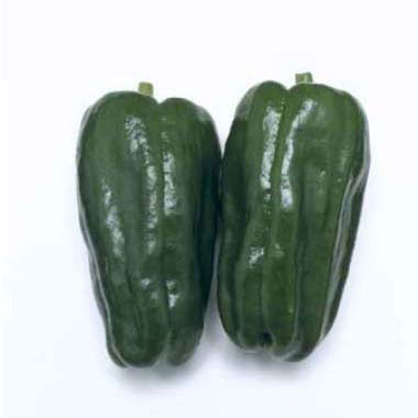 ��ڤ���/[26ǯ4����ͽ��]�ԡ��ޥ󡧵��ߤɤ꼫����3��ݥå�