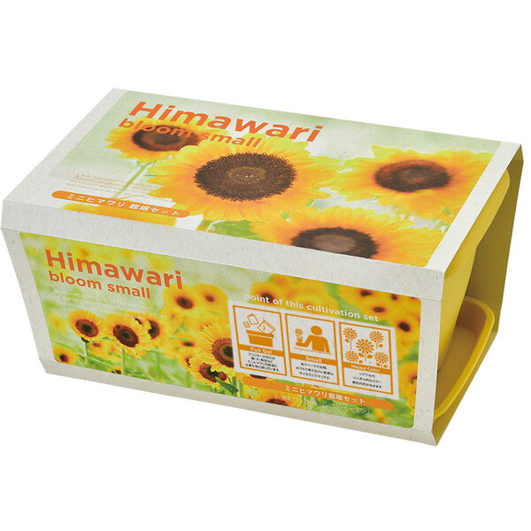 ���󥸥祤�ץ�󥿡� �ե����ߥ˥ҥޥ��