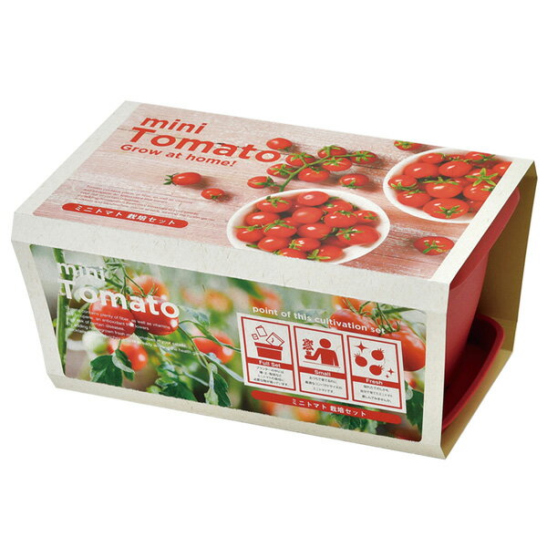 ���󥸥祤�ץ�󥿡� �٥����ߥ˥ȥޥ�[�ץ�󥿡��ǥߥ˥ȥޥȤ��Ƥ���ݥ��å� �ƴ�����ڡ��ȥޥȤΥ��͡��������դ�]