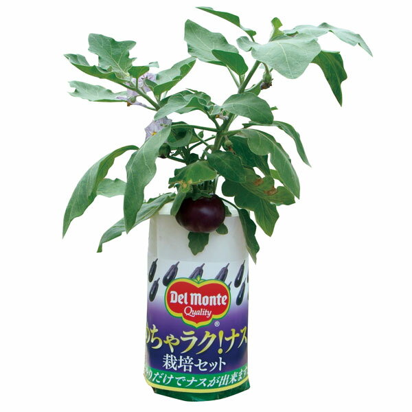 商品画像2