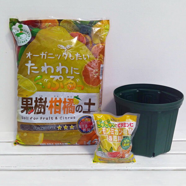 �����ѡ�ȭ���ݥ��åȡ�����å�ȭ8�桦�̼����̤��ڡ������Υ��å�