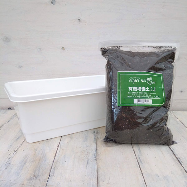 �ߥ˥ץ�󥿡�38���ۥ磻�Ȥȱ�ݥͥåȥ��ꥸ�ʥ������ڤΥ��å�