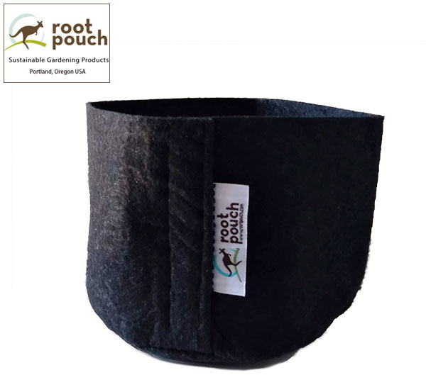 Root Pouch 不織布植木鉢ルーツポーチ：ジョーイ（JOEY）ブラック（幅=直径15cm、高さ10cm） 5個セットルーツポーチは、アメリカ、オレゴンで生まれたリサイクルペットボトルとリサイクル天然素材をミックスして作った不織布製の植木鉢です。通気性や透水性がよく、軽量でシンプル！バルコニーガーデンやルーフトップガーデンにも最適。植物と地球に優しいこれからのサステナブルなガーデニングプロダクツです。サイズ（約）幅（直径）15cm、高さ10cm※ブラックのみ高さが異なります。材質ペットボトルを加工した再生繊維(P.E.T＝ポリエチレンテレフタラート) とリサイクル天然素材その他持ち手なし→ルーツポーチの詳細はこちら※リサイクル素材で作られており、陶器やプラ鉢のような耐久性や長期の美観維持を目的としていません。制作過程で汚れやチョークの跡が付着していたり、縫い目のばらつき等があります。また、鉢は消耗品であり、表面に生じるコケ等は自然による風合いとご理解ください。※写真はイメージです。ルーツポーチ：ジョーイ（JOEY）ブラック（幅=直径15cm、高さ10cm） 5個セットの栽培ガイドルーツポーチ（Root Pouch）について
