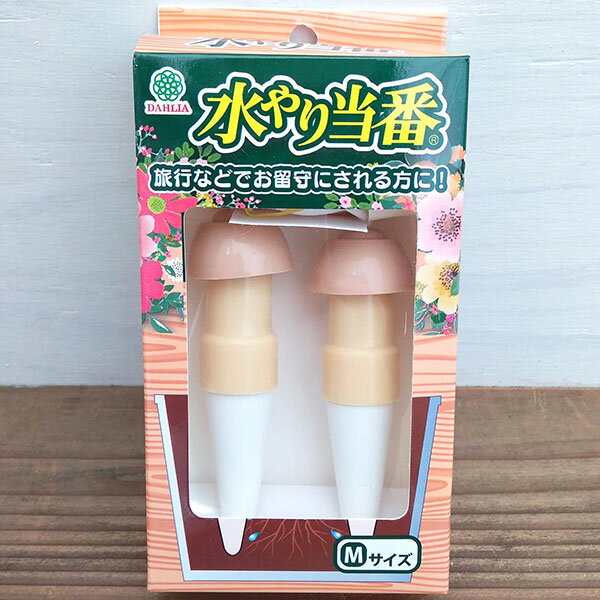 Rakuten - 給水ツール：水やり当番Mサイズ（ベージュ）2個セット（2個入×1箱）