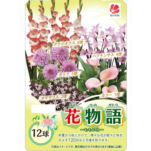 �庬/[26ǯ4����ͽ��]��ʪ��ʽաˡ���⤤�� 12�奻�å�