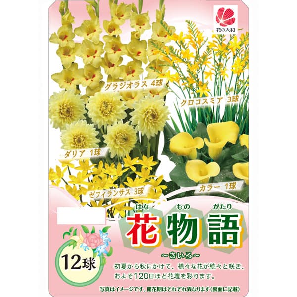 �庬/[26ǯ4����ͽ��]��ʪ��ʽաˡ������� 12�奻�å�