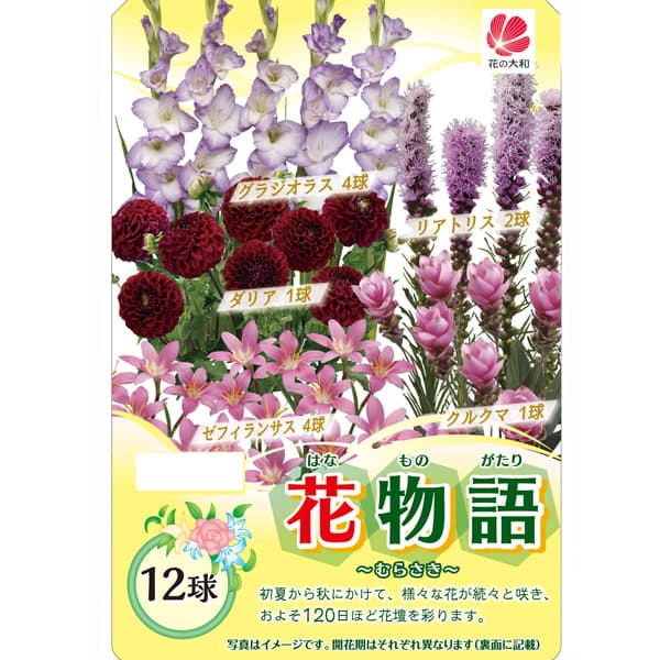 �庬/[26ǯ4����ͽ��]��ʪ��ʽաˡ���餵�� 12�奻�å�