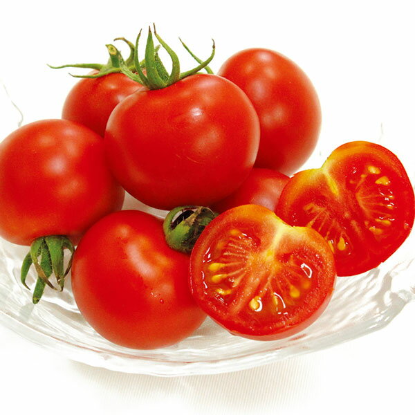 野菜の苗/[26年4月下旬予約]トマト（中玉）：フルーツトマト接木苗3号ポット