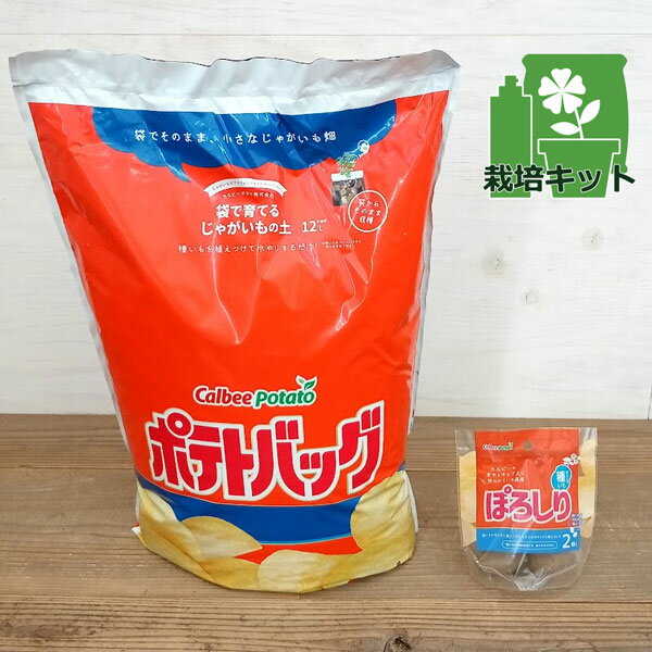 野菜の苗/[25年1月中下旬予約]ジャガイモ（種いも）：ぽろしり2個入りとポテトバッグのセットのサムネイル