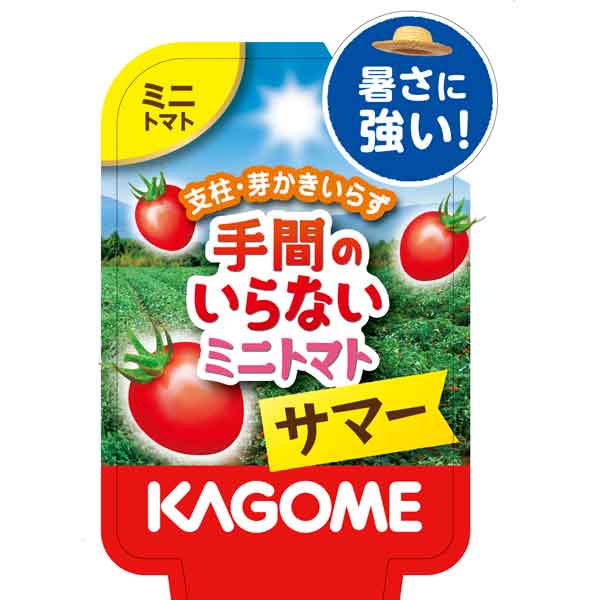 野菜の苗/[24年6月中下旬予約]トマト（ミニ）：カゴメ手間のいらないミニトマト サマー （夏植え）3.5号ポット 12株セット