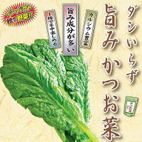 野菜の苗/[23年9月中下旬予約]旨み　かつお菜3号ポット 2株セットy