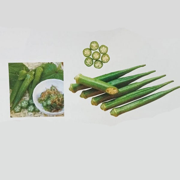 野菜の苗/[26年5月中下旬予約]沖縄島オクラ3号ポット