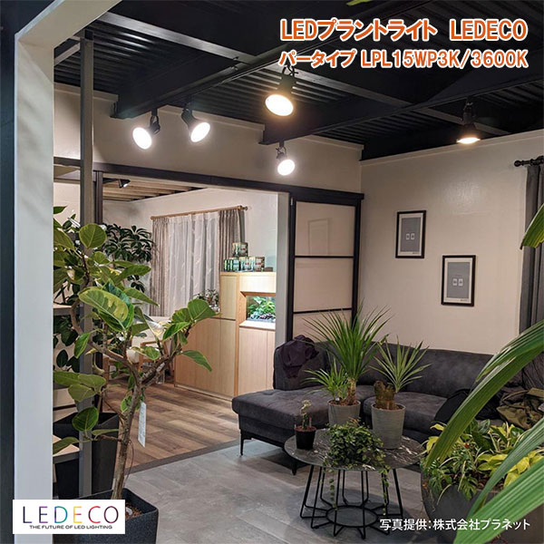 Other - LEDプラントライト：レデコ LPL15WP3K 植物育成用LED パータイプ