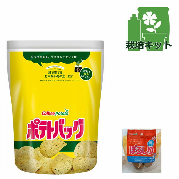 野菜の苗/[26年1月中下旬予約]ジャガイモ（種いも）：ぽろしり2個入りとポテトバッグのセット*