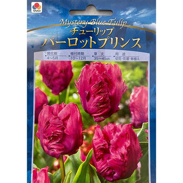 小型球根/[26年9月中下旬予約]チューリップ（空色）：パーロットプリンス 4球入り（P）クールな色彩が魅力の「空色チューリップ」は、青色に近い品種のセレクトで、どの色も神秘的！半日陰で栽培すると更に青みが増します。「パーロットプリンス」は鮮やかな紫のパーロット咲きチューリップです。草丈：40-55cm植え時：10-12月花期：4-5月栽培方法：植えつけ適期は秋〜年末です。日当たりのよい場所で、よく耕した土に化学肥料等をまぜ、球根の高さの3倍ほどの深さに植えます。一定期間低温に当たることで開花しますので、鉢植えでも冬は戸外の寒い場所で管理してください。また、水切れすると花が咲かなくなりますので、冬もたっぷり水をやってください。（沖縄地域では花が咲かないことがありますので、ご注意ください）チューリップは球根の方向をそろえて植えると葉の出る方向が揃い、たくさんの球根を美しく寄せ植えできます。※球根の作柄により、お届けができなくなる場合がありますので、あらかじめご了承ください。※球根の表皮が剥けていたり、細かな傷がある場合がございます。生育には支障ありませんので予めご承知おきください。■9月中旬〜9月下旬頃のお届けの予約販売です。・出荷開始予定：2026年9月中旬〜・注文締切日：2026年9月14日（月）午前7時まで・「9月中下旬予約」カテゴリ以外の商品とはご一緒にご注文いただけません。（商品名の頭に「[26年9月中下旬予約]」が付いている商品となります）・ご注文同士をおまとめすることはできません。送料はそれぞれにかかります。・お届け日のご案内は2026年9月15日（火）以降にメールにてお知らせします。お届け日指定はお受けできませんが、曜日や時間帯のご指定は承ります。（受信できるアドレスにてご注文お願いします。）・品種・作柄によりお届け時期が変更になったり、お届けできなくなる場合がございます。[26年9月中下旬予約]チューリップ（空色）：パーロットプリンス 4球入り（P）の栽培ガイドチューリップの球根の植えつけ方法秋植え球根のダブルデッカー植え球根の植付け秋植え球根プランターに何個のチューリップ球根を植えますか？