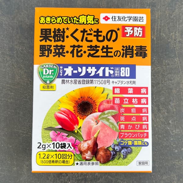 キャプタン水和剤 KINCHO園芸（旧住友化学園芸）殺菌剤(予防薬）：オーソサイド水和剤80 2g×10袋入り（芝生・球根の消毒）日本芝(高麗芝）のブラウンパッチ病や・種子・球根などの消毒に適した殺菌剤です。芝生に多く発生するブラウンパッチなど各種の病気に効果があり、芝生の生長を助ける生理効果もあります。##種子や球根の消毒、土壌病害に効果的です。※使用に際しては必ず商品の説明をよく読んで、記載内容に従ってお使いください。成分：キャプタン容量：2g×10袋KINCHO園芸（旧住友化学園芸）社製剤型・使用方法水和剤 : 水でうすめて散布効果のある害虫・病気斑点性の病気（疫病、べと病、褐斑病、黒星病、黒点病、黒斑病、炭そ病、白色疫病、白斑病、斑点落葉病、葉枯病、輪紋病、斑葉病、そうか病、斑点病）、葉かび病、灰色かび病、縮葉病、赤星病、苗立枯病、立枯病、芽枯病、すす点病、すす斑症、すす斑病、せん孔病、つる枯病、灰星病、根腐萎ちょう病、青かび病、赤焼病、晩腐病、葉腐病（ブラウンパッチ）、黒とう病、ピシウム菌による病害、リゾクトニア菌による病害、茎腐病、腰折病、根腐病、落葉病対象作物［花き・観葉］花き類・観葉植物、せんにちこう、コスモス、ひまわり、シネラリア、スイトピー、みやこわすれ、アンスリウム、斑入りアマドコロ、アイリス、チューリップ、りんどう、芝［野菜］野菜（さやいんげんを除く）、豆類（種実、ただし、いんげんまめを除く）、トマト、なす、ピーマン、ししとう、きゅうり、かぼちゃ、しろうり、すいか、メロン、いちご、はくさい、いんげんまめ、セルリー、たまねぎ、葉たまねぎ、ごぼう、未成熟とうもろこし［庭木］ゆきやなぎ［果樹］かき、ぶどう、もも、おうとう、りんご、なし、マルメロ、パイナップル、パパイヤ、マンゴー、小粒核果類［特用作物］たばこ、飼料作物この薬剤の適用一覧及び使用法についてはKINCHO園芸（旧住友化学園芸）のホームページをご参照ください。殺菌剤(予防薬）：オーソサイド水和剤80 2g×10袋入り（芝生・球根の消毒）の栽培ガイド芝生の夏のお手入れ殺虫剤の適用一覧薬剤の散布液の作り方