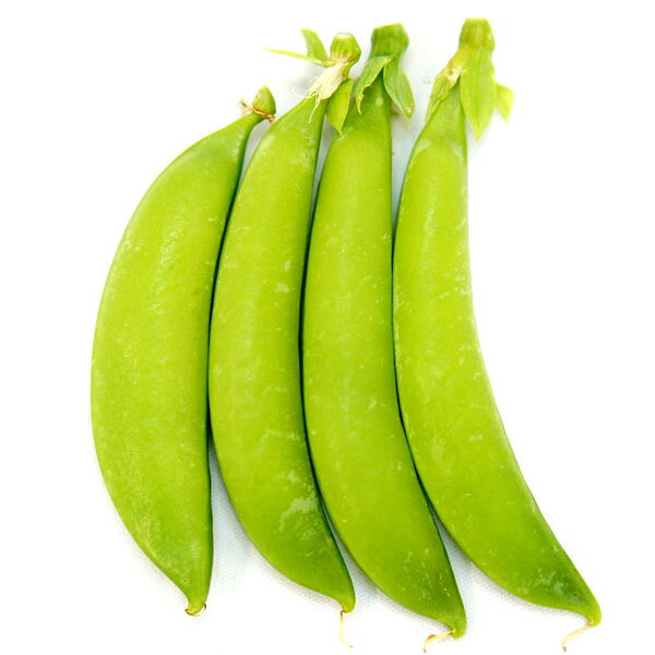 早どりしたらスナップエンドウ！完熟したらグリーンピース！野菜の苗/[26年10月中下旬予約]エンドウ（つるあり）：二刀流エンドウスナップW（ダブル）ピース苗3号ポット二刀流エンドウスナップWピースはボリュームのある大莢で、甘みが強くとても食べごたえがあります。早どりすることで、従来のスナップエンドウとして利用します。完熟させることにより莢の中の豆をグリーンピースとして利用します。科名：マメ科育て方；生育に伴い支柱やネットを張り、ツルを誘引していきます。花が咲いたら追肥を行い、草勢の維持に努めます。レシピ：早どりスナップのサラダ完熟グリーンピースの豆ごはん写真は成長時のイメージですが、お届けの際は苗の状態です。お届け時の苗姿は個体差があります。表示の写真と異なることがあります。■10月中旬〜10月下旬頃のお届けの予約販売です。・出荷開始予定：2026年10月中旬〜・注文締切日：2026年10月12日（月）午前7時まで・「10月中下旬予約」カテゴリ以外の商品とはご一緒にご注文いただけません。（商品名の頭に「[26年10月中下旬予約]」が付いている商品となります）・ご注文同士をおまとめすることはできません。送料はそれぞれにかかります。・お届け日のご案内は2026年10月13日（火）以降にメールにてお知らせします。お届け日指定はお受けできませんが、曜日や時間帯のご指定は承ります。（受信できるアドレスにてご注文お願いします。）・品種・作柄によりお届け時期が変更になったり、お届けできなくなる場合がございます。