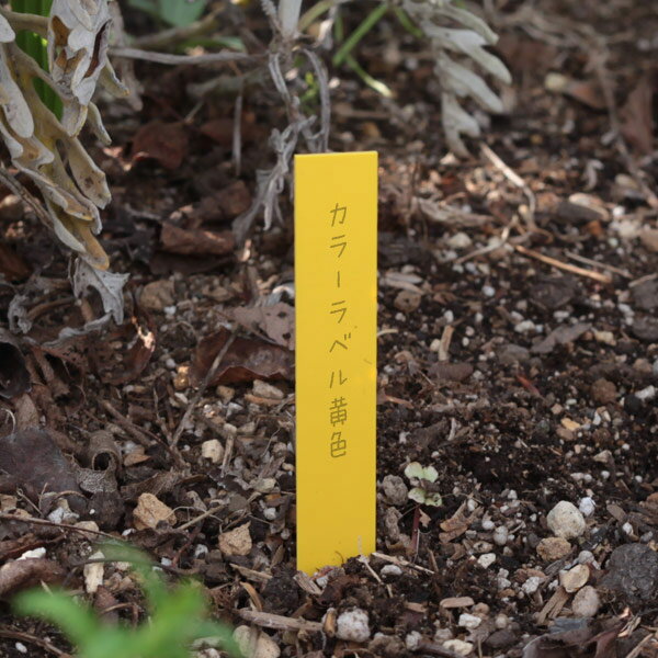 Rakuten - ゴールドカラーラベル黄色1.2cm×9cm 100枚入り