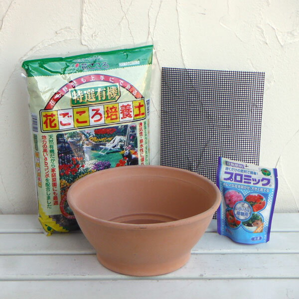 草花の苗/草花用 トスカーナ：スムースボール ホワイト27cmと土と肥料のセット