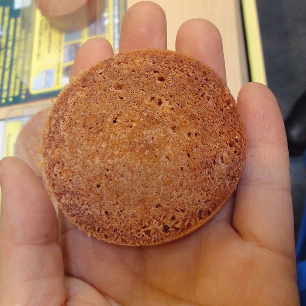 澆水用具 - 水やりサポート資材：ウォータースライス 10個セット