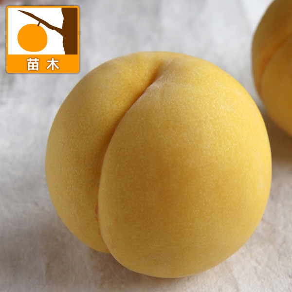 商品画像3