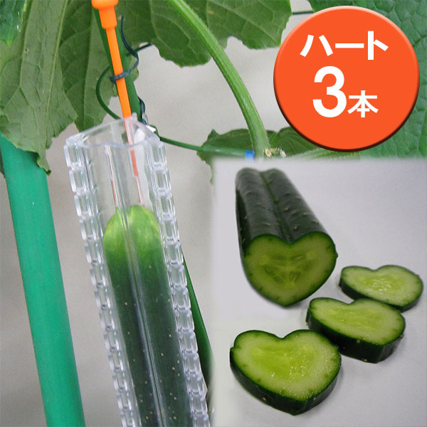 デコきゅう：ハート3本