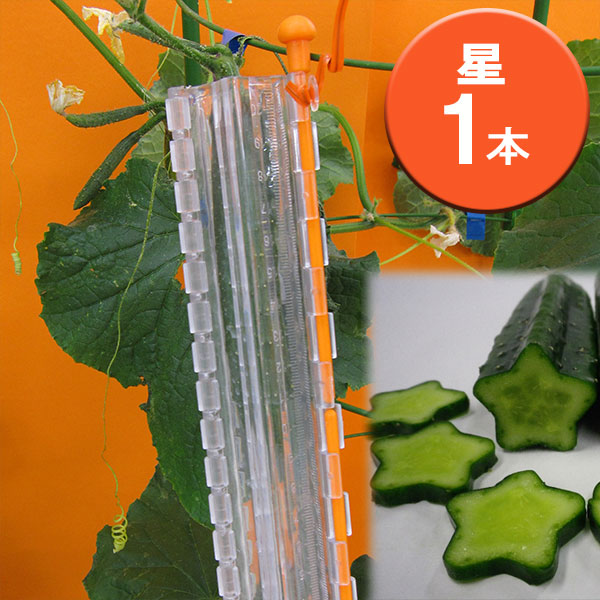 基本材料 - デコきゅう：星1本