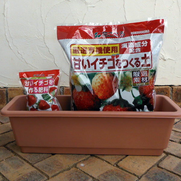 いちご用 ホームプランター65TRと土と肥料のセット