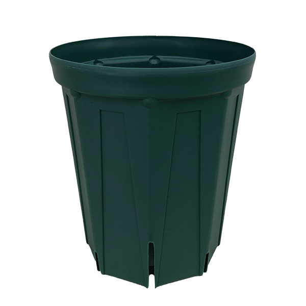 Rakuten - スリット鉢8号ロングタイプ CSM-240L（モスグリーン）